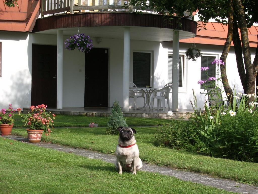 Maenni Guesthouse ฮัปซาลู ห้อง รูปภาพ